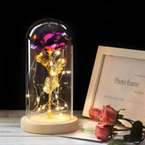 LED Enchanted Rose (Ships within USA only)