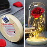 LED Enchanted Rose (Ships within USA only)
