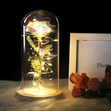 LED Enchanted Rose (Ships within USA only)