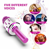 Karaoke Microphone