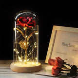 LED Enchanted Rose (Ships within USA only)