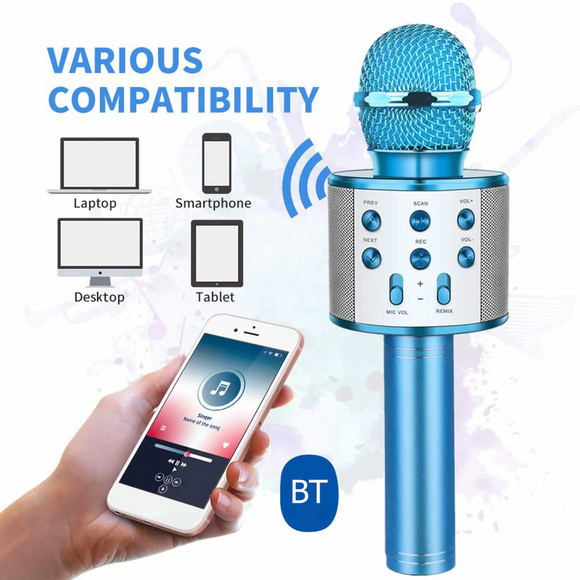 Karaoke Microphone