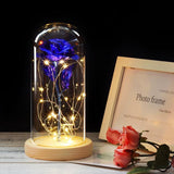 LED Enchanted Rose (Ships within USA only)