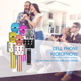 Karaoke Microphone